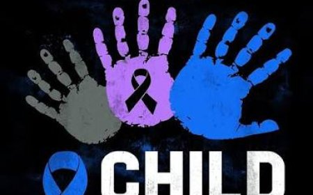 West Australian Man Jailed for Two Years Over Child Abuse & Bestiality Material