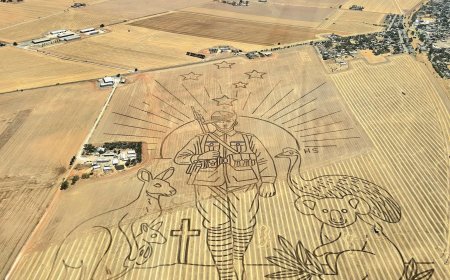 Aussie Farmer's Epic Paddock Art Salutes Nation on Australia Day