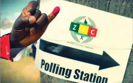 Zimbabwe Diaspora to Sue Government Over 2028 Voting Rights