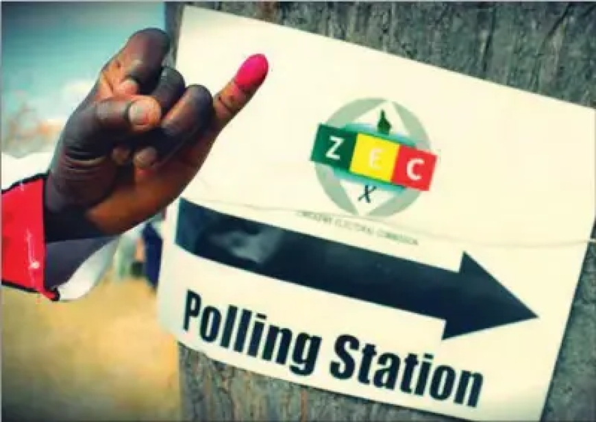 Zimbabwe Diaspora to Sue Government Over 2028 Voting Rights