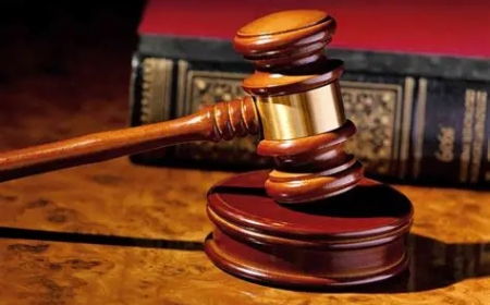12 Years for Stock Theft, Magistrate Commends Prosecution, Investigator