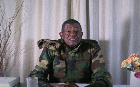 Mnangagwa Critic Blessed Geza Dies in South African Exile