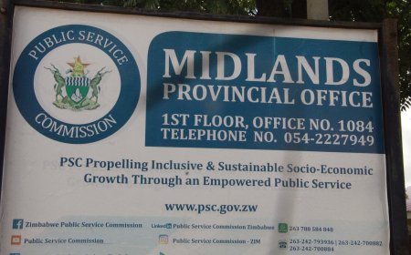 Caught in the Act: How a Quiet Lunch Hour at Gweru Government Complex Turned Into Shock and Arrest