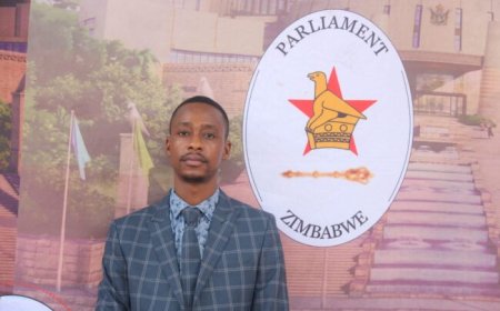 Vocational Training Centres Operating from Old Beer-halls and Refugee Camps, Parliament Report Says
