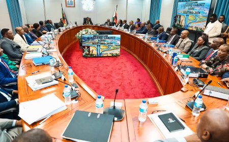Zimbabwe War Veterans File Constitutional Court Challenge to Block Mnangagwa’s Term Extension