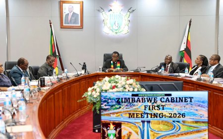 Zimbabwe Diaspora Vote Initiative Rejects 2030 Term Extension