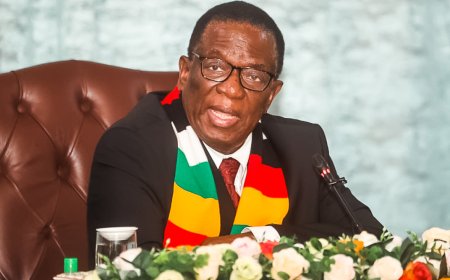 Zimbabwe Rejects Trump's Health Aid for Minerals Demand
