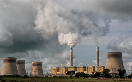Power Games: Australian Households Turn to Renewables as Fossil Fuel Costs Surge