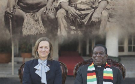 The New Scramble for Africa: From the Berlin Conference to the "America First" Health Framework