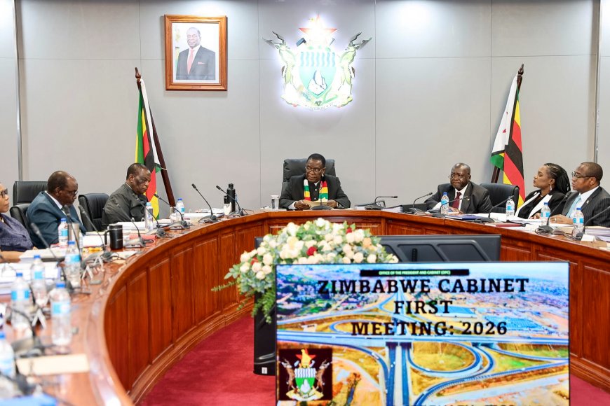 Zimbabwe Diaspora Vote Initiative Rejects 2030 Term Extension