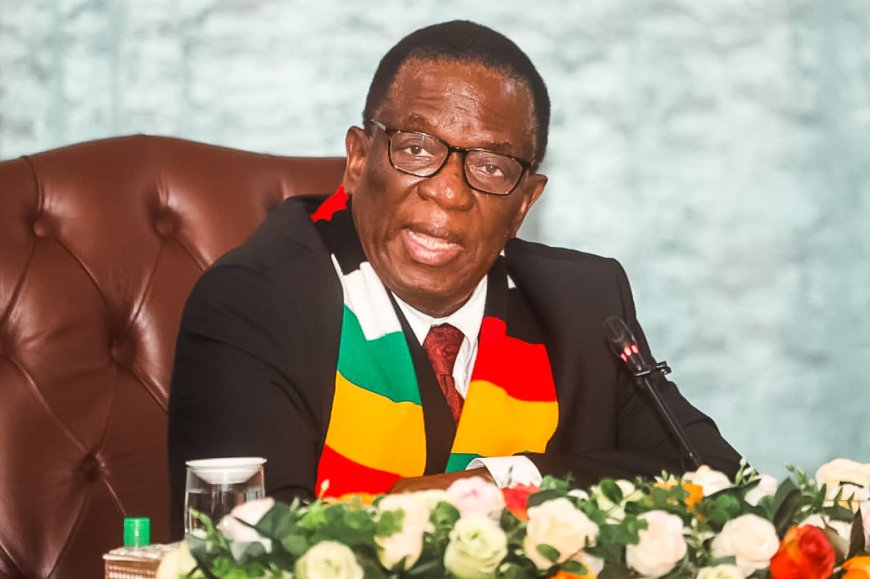 Zimbabwe Rejects Trump's Health Aid for Minerals Demand