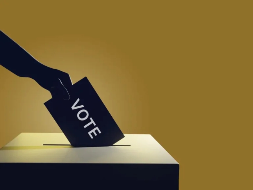 ZDVI Denounces Linking Diaspora Vote to Presidential Term Extension Bill