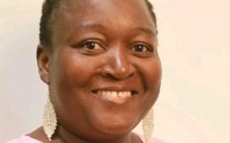 Diaspora Sends a Letter to President Mnangagwa on Voting Rights and Term Extension