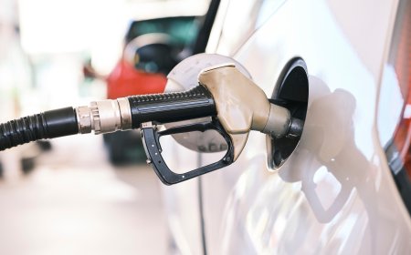 Zim Fuel Shock: War in Middle East Drives Prices Higher