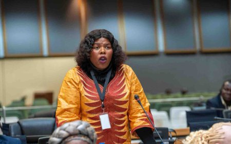 Village health workers to be absorbed into government payroll