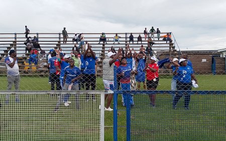 Dynamos Overcome Early Scare to Claim Victory Over TelOne at Ascot