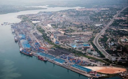 Analysts Warn Of Chinese 'Dual-Use' Port Strategy in Africa As Its Military Footprint Expands