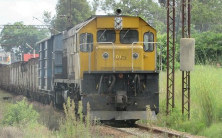 Mberengwa 19-Year-Old Man Decapitated By Goods Train