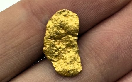 Kwekwe Mine Owner, Security Guards Arrested for Murder Over 2.8g Gold