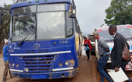 Residents Welcome ZUPCO Bus Deployment in Gweru Suburbs