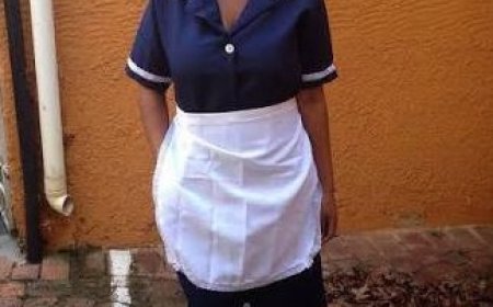 Maid Sentenced to Three Years for US$80k Heist