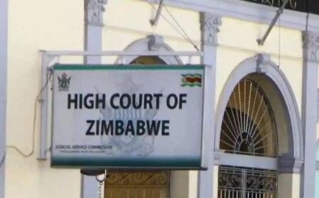 Justice Tempered: High Court Revisits Nurse’s Violent Outburst in Lower Gweru