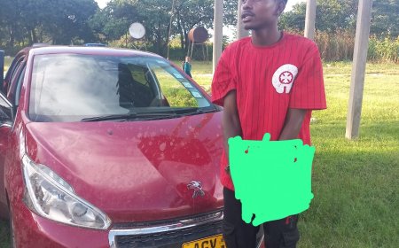 Recently Pardoned Convict Arrested for Vehicle Theft, House Break-ins