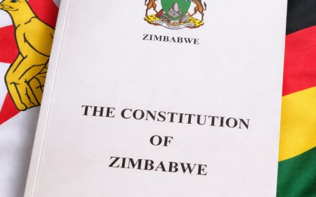 ZDVI Demands Cancellation of Constitutional Amendment Hearings Over Exclusion Concerns