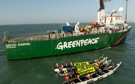 Greenpeace Slams Albanese Government Over 2081 Queensland Gas Wells Approval