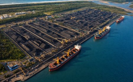 South Africa Urged to Sanction Israel Over Coal Exports