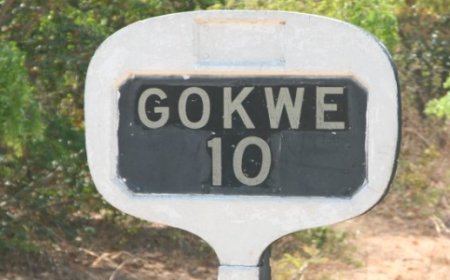 ZANU PF Suspects in Gokwe CID Detective Abduction and Torture Case Further Detained