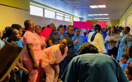 Zimbabwe Nurses Strike at Parirenyatwa Hospital Over Low Pay and Transport Costs, Chaos as Services Stall