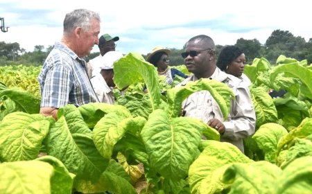 Zimbabwe Offering 100% Profit Repatriation & Tax Holidays in US$1.4 Billion Agricultural Investment Drive