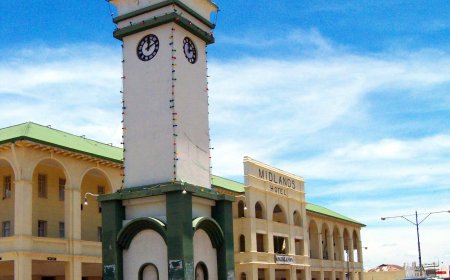 14 Arrested In Gweru As Police Move Against Anti-Amendment Bill Gathering