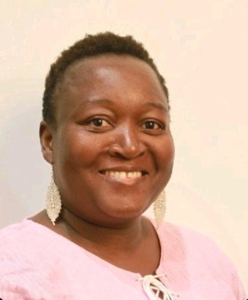 Diaspora Sends a Letter to President Mnangagwa on Voting Rights and Term Extension