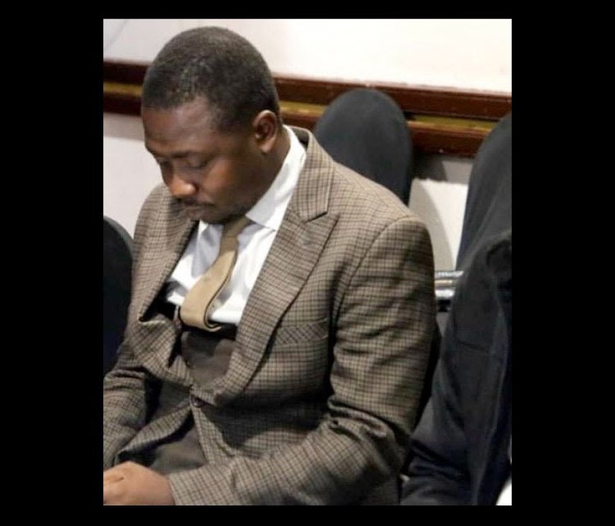 Zimbabwe Journalist Madzikatidze to Spend a Month in Pre-trial Detention