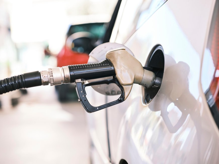 Zim Fuel Shock: War in Middle East Drives Prices Higher