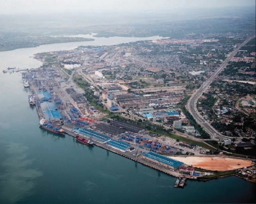 Analysts Warn Of Chinese 'Dual-Use' Port Strategy in Africa As Its Military Footprint Expands