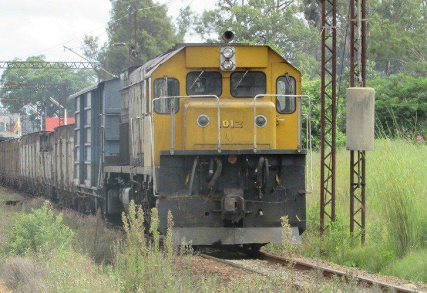 Mberengwa 19-Year-Old Man Decapitated By Goods Train