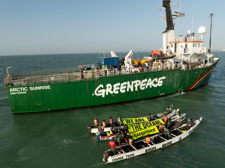 Greenpeace Slams Albanese Government Over 2081 Queensland Gas Wells Approval