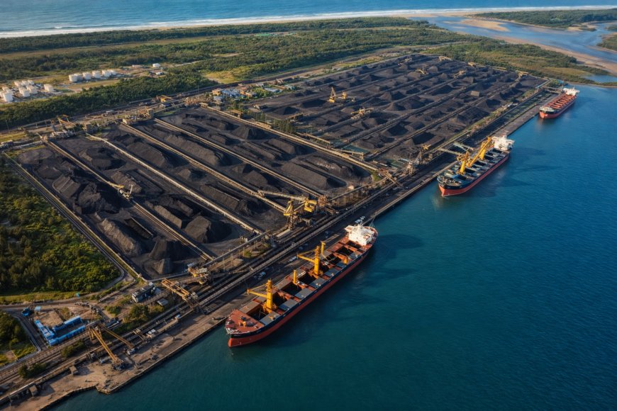 South Africa Urged to Sanction Israel Over Coal Exports