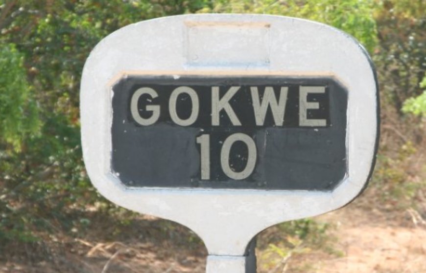 ZANU PF Suspects in Gokwe CID Detective Abduction and Torture Case Further Detained