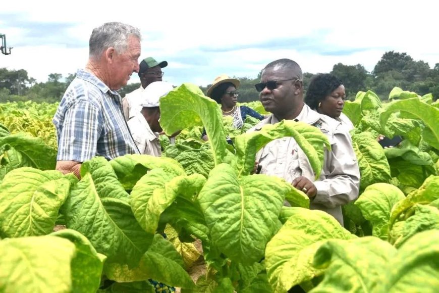 Zimbabwe Offering 100% Profit Repatriation & Tax Holidays in US$1.4 Billion Agricultural Investment Drive