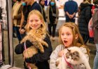 Australia’s Biggest Cat and Dog Festival Returns This August