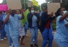 Zimbabwean Nurses Launch Three-Day Nationwide Strike Over Pay and Working Conditions