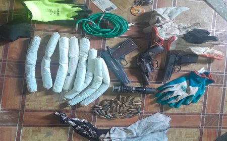 Four Dead in Harare Police–Armed Gang Shootout