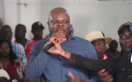 Momentary Chaos at Gweru Vungu Constitutional Amendment Bill No.3 Hearing