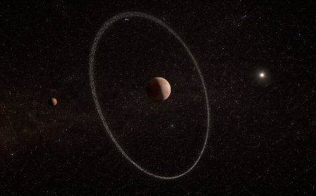 Amateur Astronomers Honored for Discovery of 100 Exoplanets and Anomalous Planetary Ring