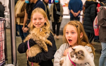 Australia’s Biggest Cat and Dog Festival Returns This August