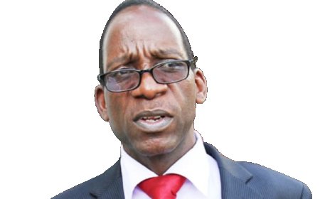 Madhuku Commends Chamisa Security Intervention as Opposition Rallies Against CAB3 Amid Rising Tensions